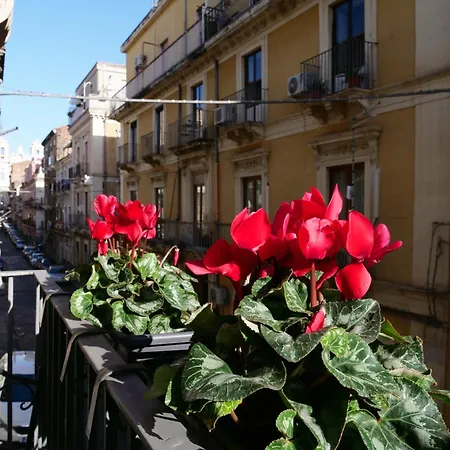 Anticorione *